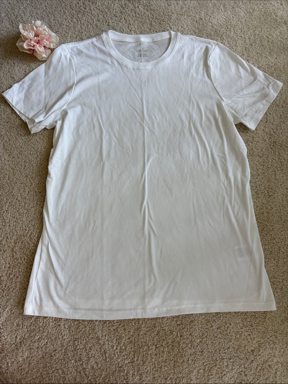 Everlane White Organic Cotton Tee